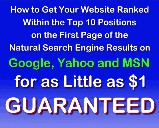 Search Engine Optimization